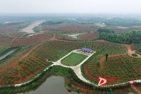 常德市德天廣告有限公司,品牌設(shè)計(jì),活動策劃,影視攝制,廣告設(shè)備租賃